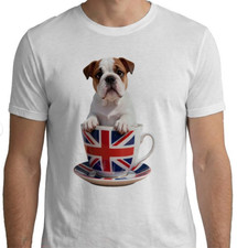 UTK English Bulldog Puppy in
