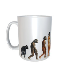 Evolution Trucking Lorry Cab