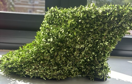 Dries van noten - dries,