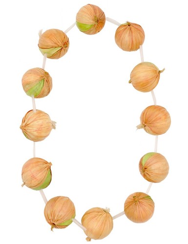 French red onion garland - french,