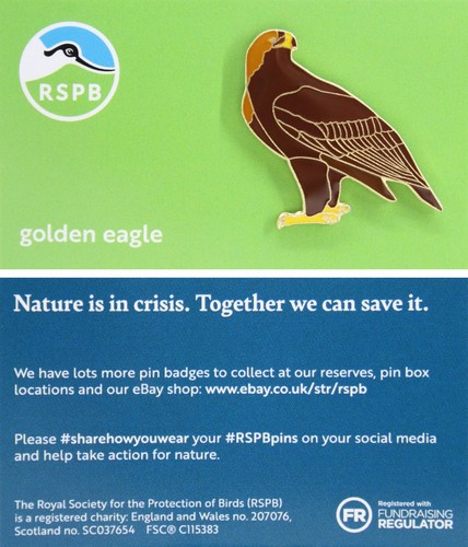 Rspb pin badge niic golden - badge,