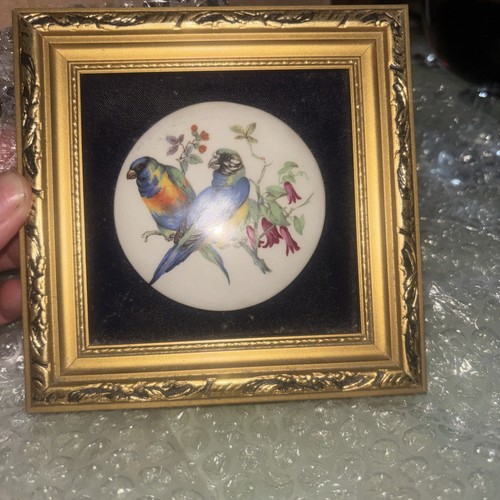 Staffordshire ceramic - staffordshire,