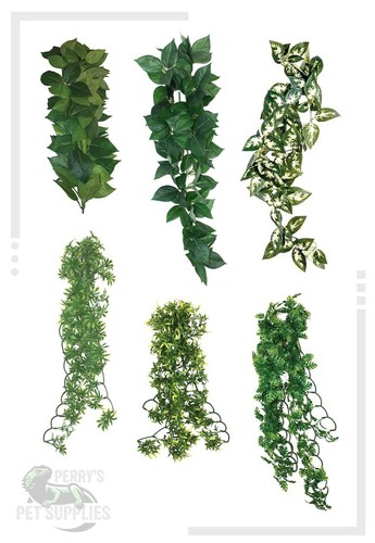 Komodo vivarium hanging vine - hanging,