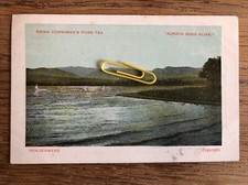 Drink Hornimans Pure Tea