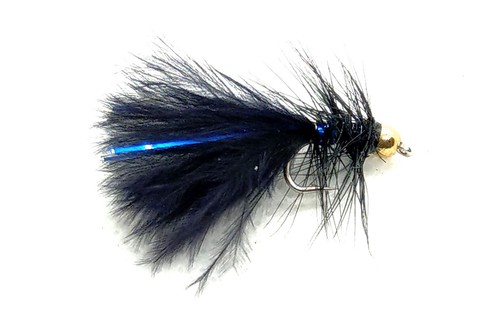 Goldhead black blue flash - goldhead,