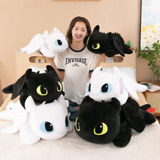 Toothless & Luna How To Train