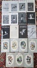 Lot of 19 x vintage BIRD NOTES