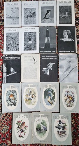 Lot vintage bird notes - 19,