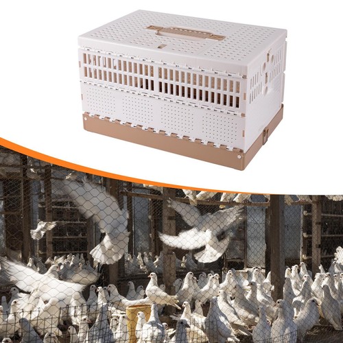 Pigeon cage nest - pigeon,