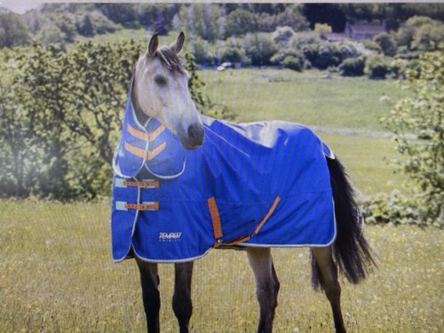 Shires tempest original - tempest, 50