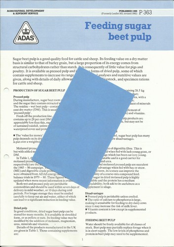 Adas maff feeding - maff, beet
