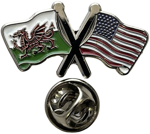 Wales and usa waving pin - waving,
