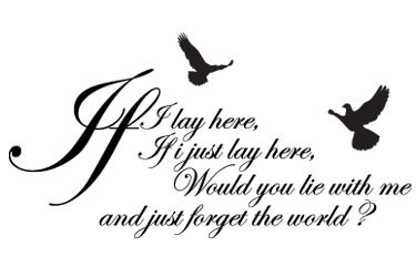 Wall sticker snow patrol - wall,