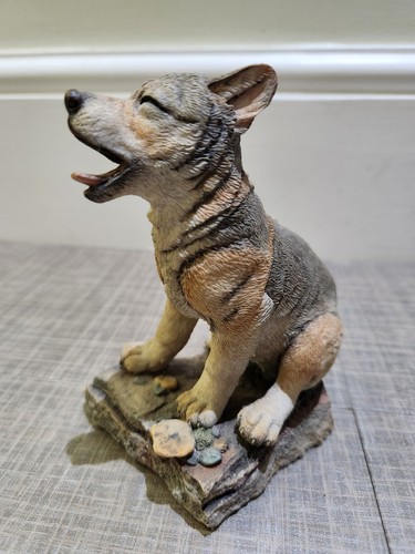 Country artists wolf - artists, cub