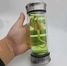 1/6 Scale Facehugger