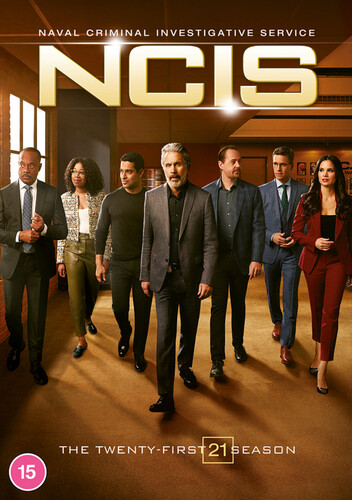 Ncis the twenty - the, season