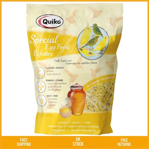 Canary breeding moulting - breeding, egg