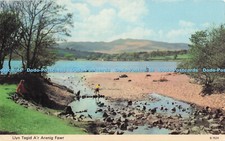 R728469 Llyn Tegid A r Arenig
