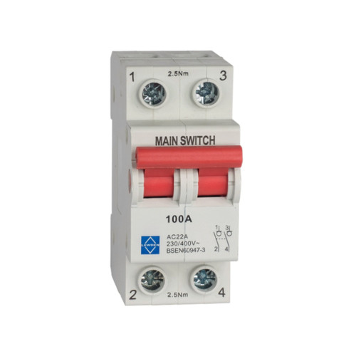 Lewden 100a double pole main - 100a,