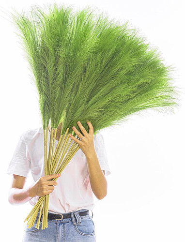 Stems tall pampas grass - tall,