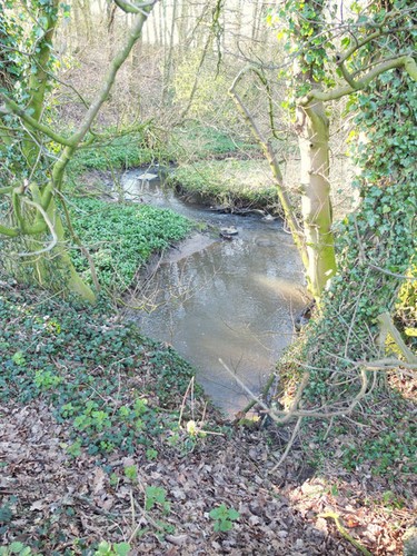 Photo 6x4 bentley brook - 6x4,