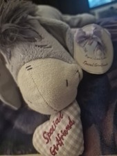 Winnie the Pooh Eeyore Special