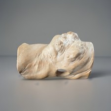 Reptile Tunnel Hideout large