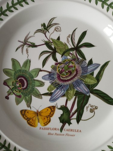 Portmeirion porcelain botanic - portmeirion,