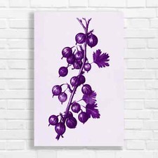 Botanical Gooseberry Purple