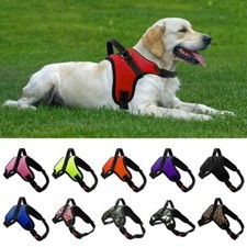 No Pull Dog Harness - XS/S/M/L