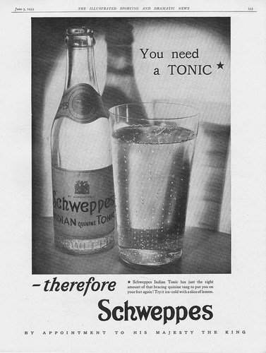 Schweppes you need - tonic,