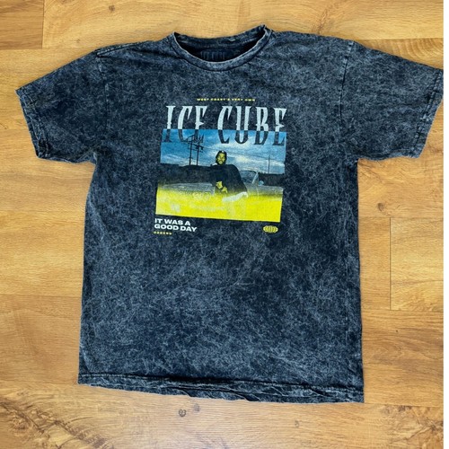 Ice cube was - cube, it