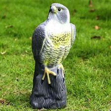 Decoy Falcon Hawk Deterrent