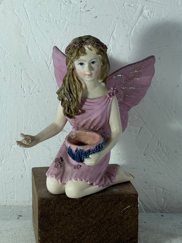 The official fairy collection - the,