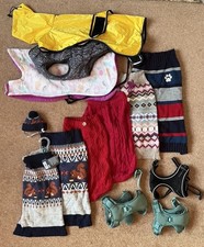 Dog Coats Jumpers and Harness