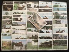 Anglo-American Gum Cards. ‘THE HORSE’ Part Set 51 Cards 1966. All Shown