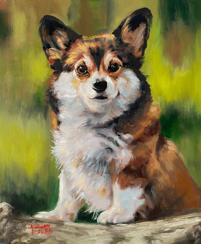 Welsh corgi realistic - welsh, ~