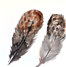 Original Watercolour Feather