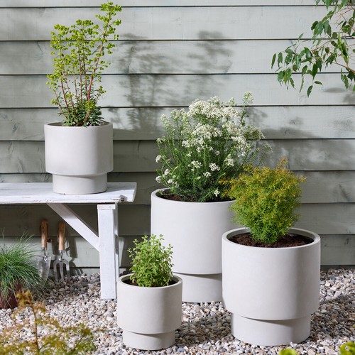 Vintage beige plant - vintage, pot
