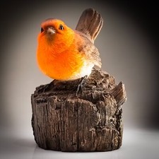 Vivid Arts Robin -Indoor Outdoor Garden Bird Ornament Gift H 13cm Figurine Gift