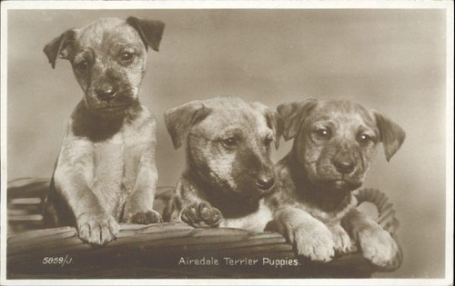 Vintage valentine post card - vintage,