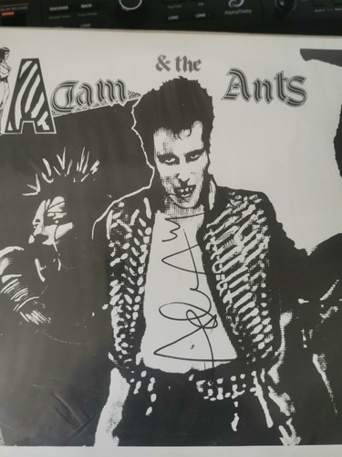 Adam and the - adam, 'madam