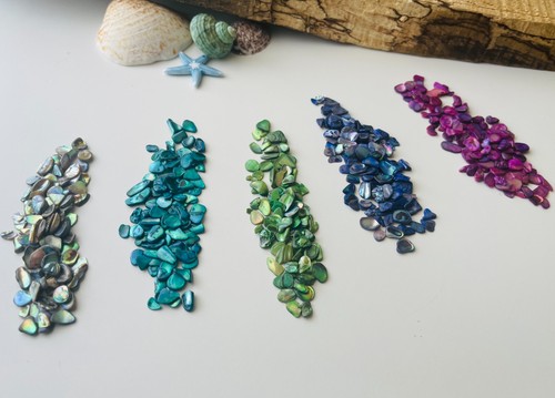 Abalone paua shell pieces - abalone,