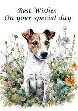 JACK RUSSELL TERRIER DOG