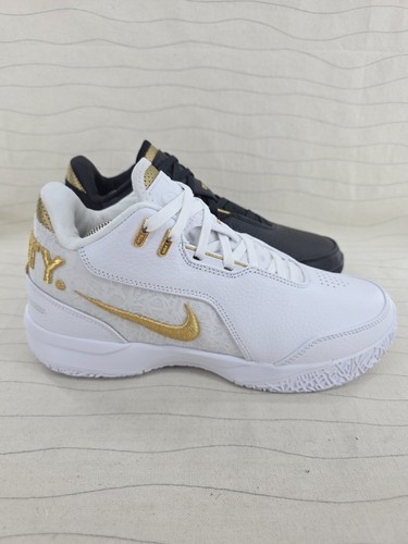 Nike mens zoom lebron nxxt - zoom, gen
