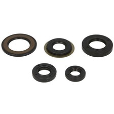 ENGINE GASKETS SET FITS