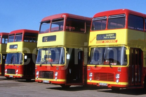 Bus photo pmt red rider - photo,
