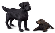 Black labrador retriever - black, dog