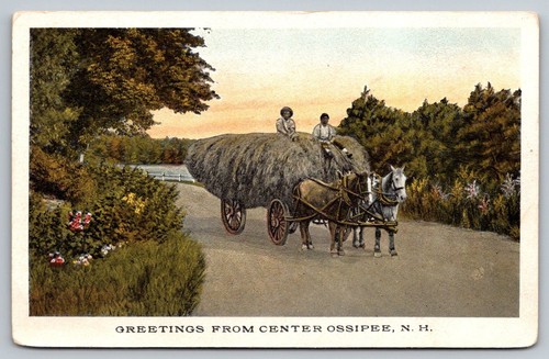 Horse drawn wagon - wagon, center
