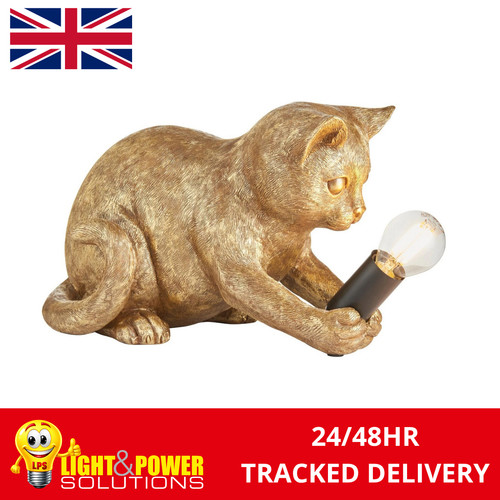 Gold cat kitten animal - cat, pet